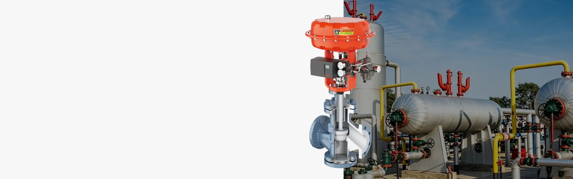 Valve Solutions for Food & Pharmaceutical Processing