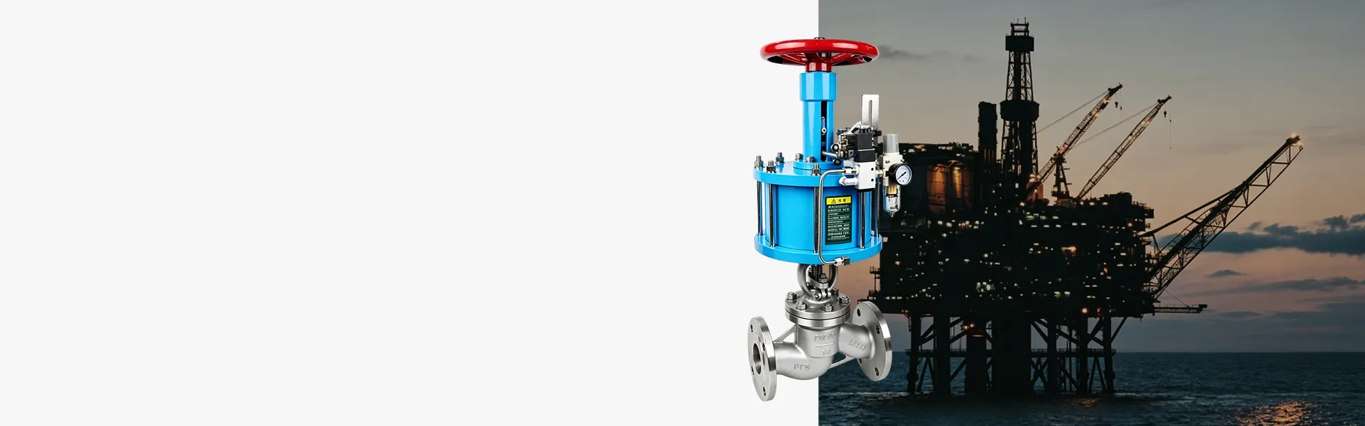 Valve Solutions for the Petrochemical Industry