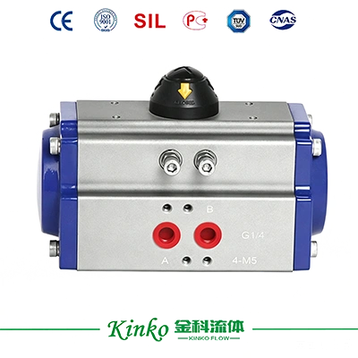 Pneumatic Actuator