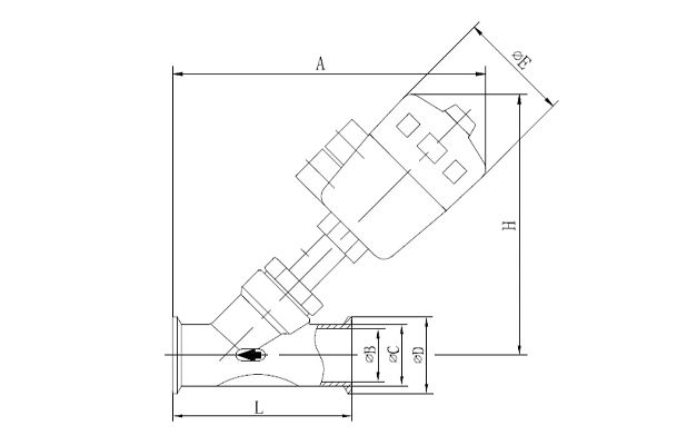 upload/1c/202608/plastic-tri-clamp-angle-seat-valve-2.webp