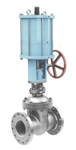 Pneumatic Gate Valve